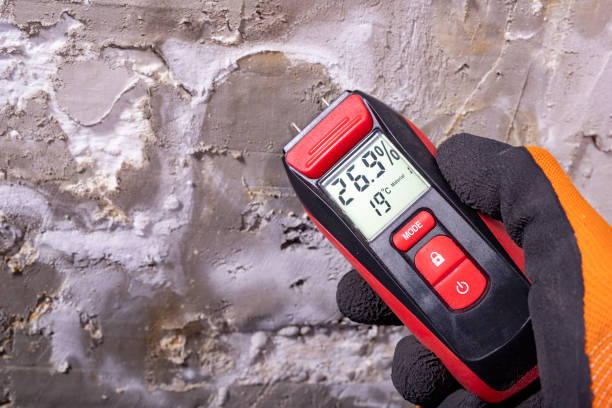 Best Crawl Space Mold Removal  in Bethlehem, NC
